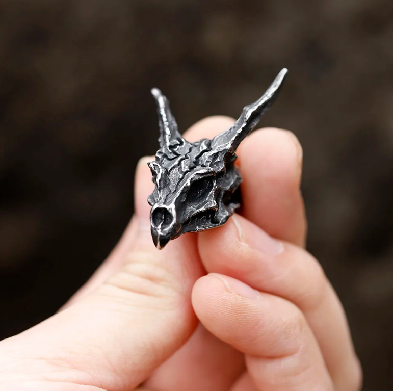 Nordische Halskette Drache Schädel Wikinger Anhänger Kette Edelstahl silber 60 cm