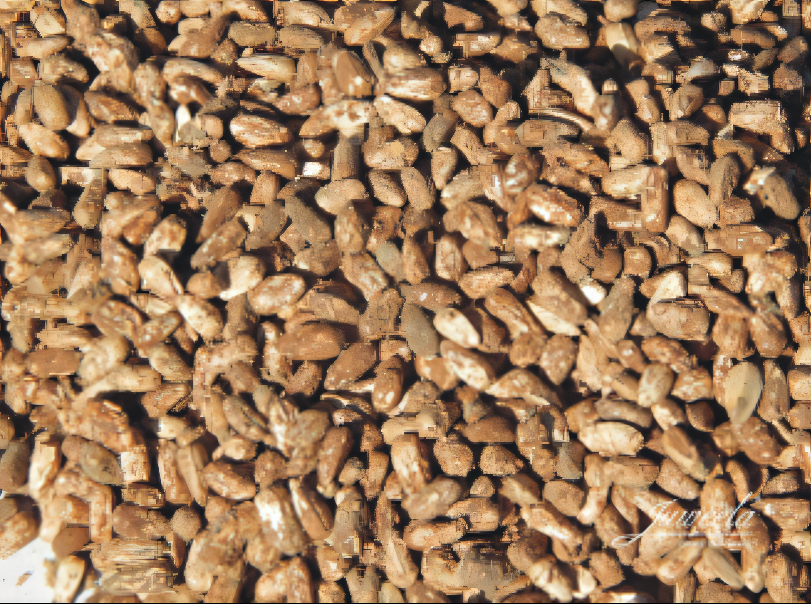 Juweela 22076 Zuckerrüben 75g lose SPUR G Ladegut 1:24